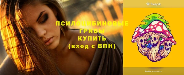мдпв Медногорск
