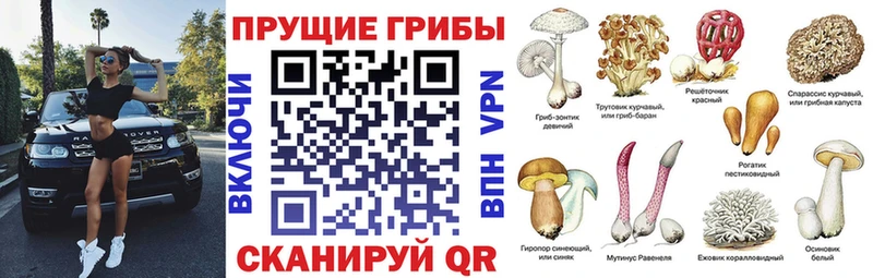 Псилоцибиновые грибы ЛСД  Оренбург 