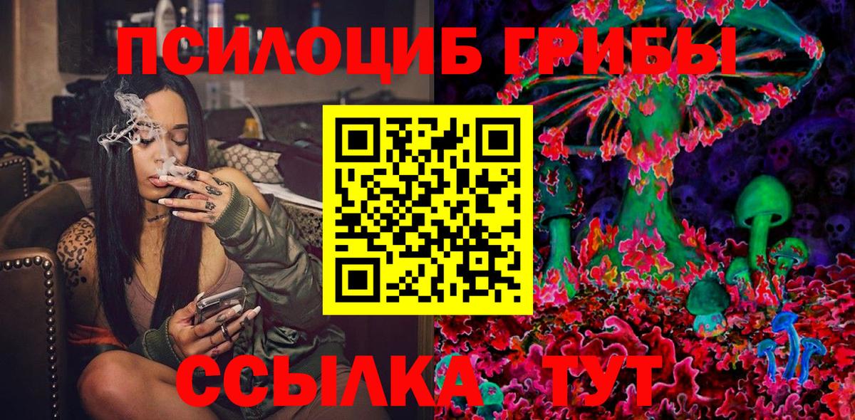 Псилоцибиновые грибы Psilocybe Оренбург