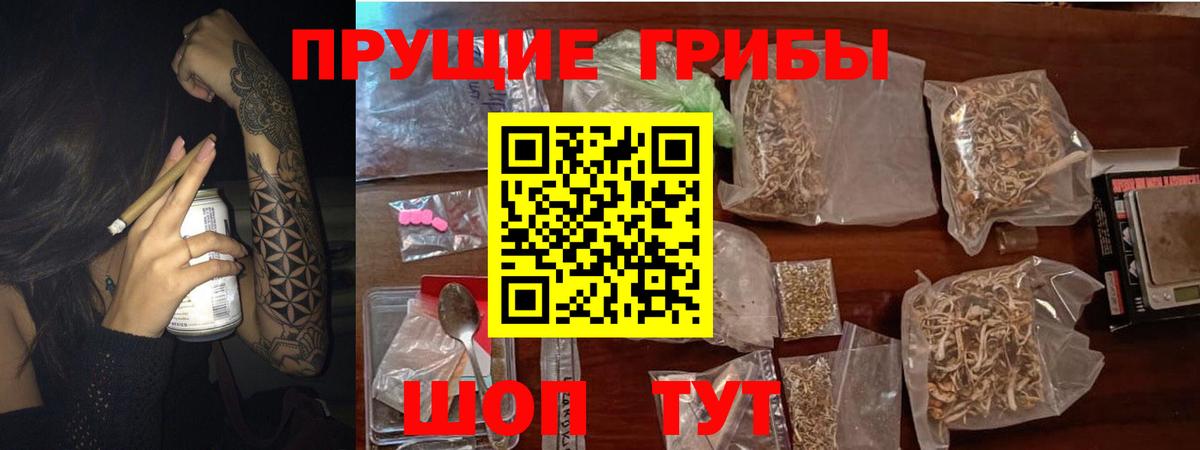 где купить наркотик  Псилоцибиновые грибы Psilocybine cubensis  Вход с VPN  Оренбург  Псилоцибиновые грибы GOLDEN TEACHER 